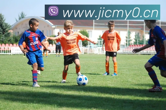 星空体育综合入口平台生态图