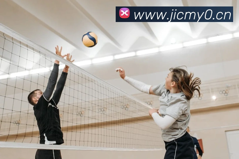 星空体育综合入口APP 封面图